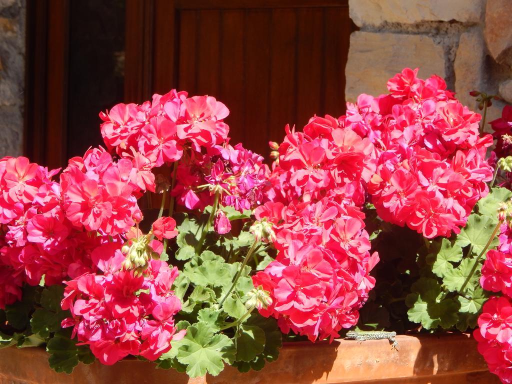 I Lecci Bed & Breakfast Lerici Ngoại thất bức ảnh